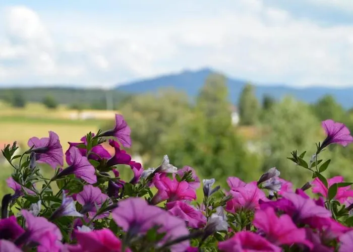 Altmann Apartman *